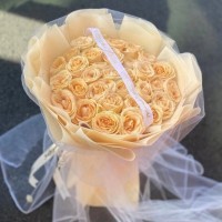 Ϸʻٵ